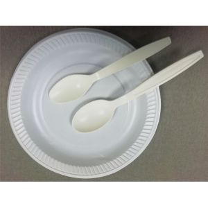 5.5/6/6.6 Inch Biodegradable Corn Starch Spoons Eco Friendly Durable And Heat
