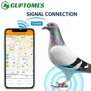 Ultra-Lightweight 5.4g Pigeon GPS Tracker With Flight Path Tracking And Dual