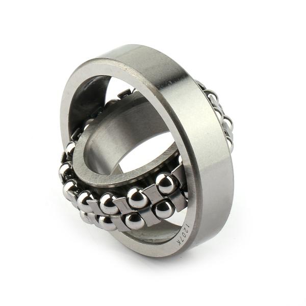 2202 Self Aligning Ball Bearings Size 15X35X14 15*35*14 MM E-2RS1TN9 2RS