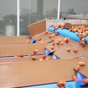 Cheap Optimal Size Sorting 1.4 Tons Per Hour 6-Lane Palm Dates Sorting Machine for sale