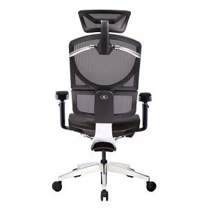 GTCHAIR ISEE Ergonomic Chair High Back Mesh Swivel Office Chairs