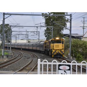 Speedy International Express Courier Service , Express Mail Courier Service From