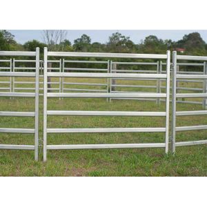 1.6 X 2.0M Galvanized Cattle Yard Panels Lightweight For Easy Handling