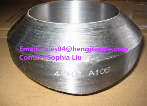 carbon steel A105 weldolet