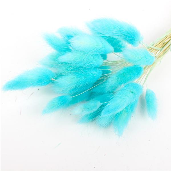 Real Touch Beautiful Dried Flowers Rabbit Tail Grass Preserved Lagurus Ovatus