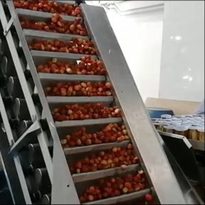 Leadworld Strawberry Fruit Canned Automatic Production Line Canning Machine