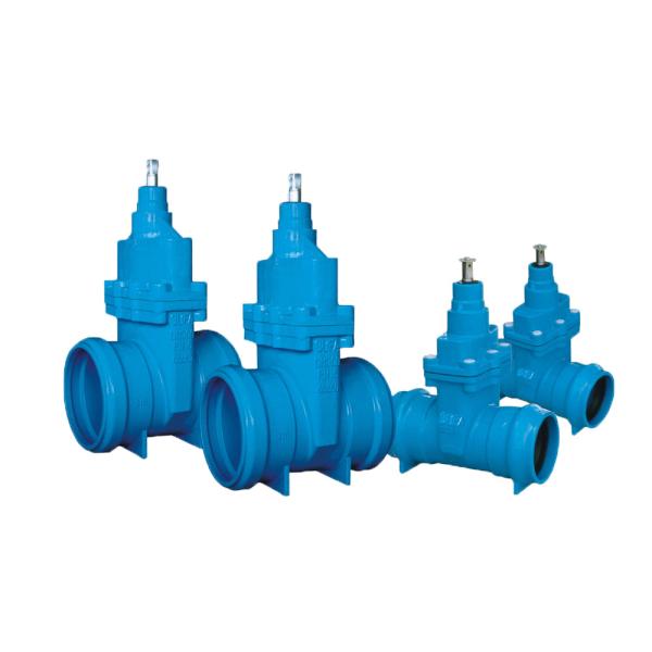 Quality 50mm Cast Iron Water Gate Valve Flange Type Fully Guided Flexible Wedge wholesale