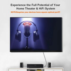 RoHS Single Mode Fiber Optic Cable OPT to OPT for Hifi Audio