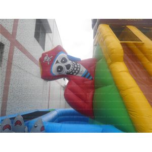 Unique Inflatable Slide (CYSL-39)