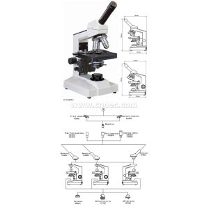 1000X Optical Biological Compound Microscope Achromatic A11.0204