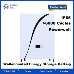 OEM ODM LiFePO4 lithium battery wall-mounted solar household energy storage