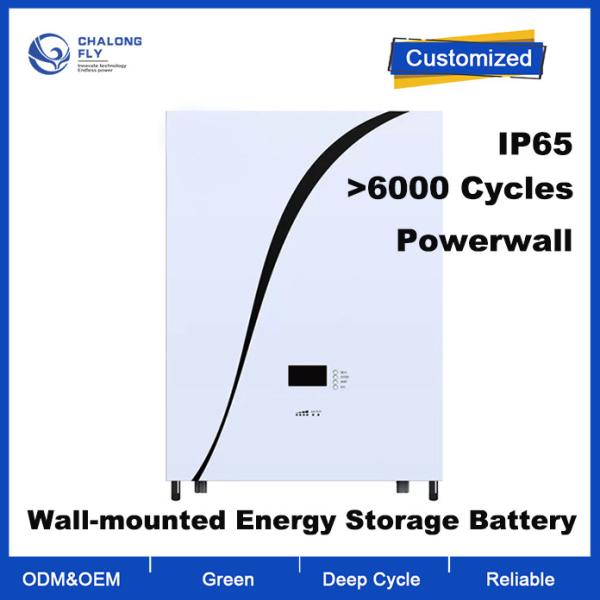 OEM ODM LiFePO4 lithium battery wall-mounted solar household energy storage