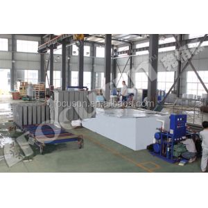 Direct Sale 5T Block Ice Machine with Customized Size and Other Ice Storage