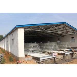 200 Chickens A Type Baby Chick Cage Include Automatic Drinking System