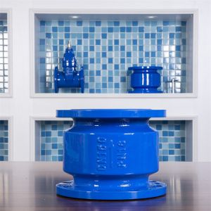 Cheap GGG40 GGG50 Dn100 Pn16 Check Valve QT450 DN150 Ductile Iron Muffler for sale