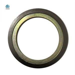 Flange IR Spiral Wound Graphite Gasket Flexible With Inner Ring