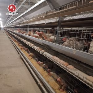 3Rows 28sets / Row A Type Wire Poultry Cage Farming Hens Equipments