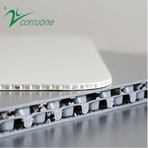 250GSM 6mm PP Honeycomb Sheet White Plastic Sandwich Boards