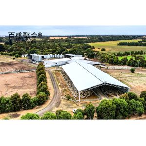 Customized Prefabricated Steel Structure Goat Farming Shed House with Sliding
