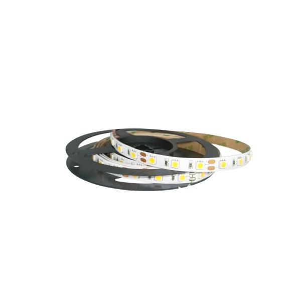 Outdoor 12V 24V SMD 5050 LED Strip Light With Silicon Rubber Tube
