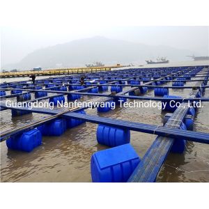 PE/Nylon Net Flexible Fish Farming HDPE Fish Farming Floating Pontoon in Lake