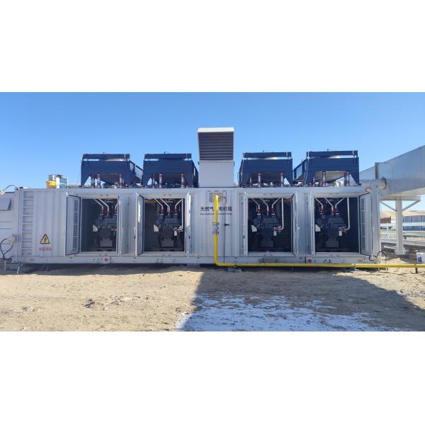 Air Cooled Alternator Cooling Container Type 500KW 1000KW 1MW 2MW 3MW LNG CNG