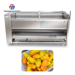 Large scale brush Washing cleaning and peeling machine Ginger Potato Carrot Taro