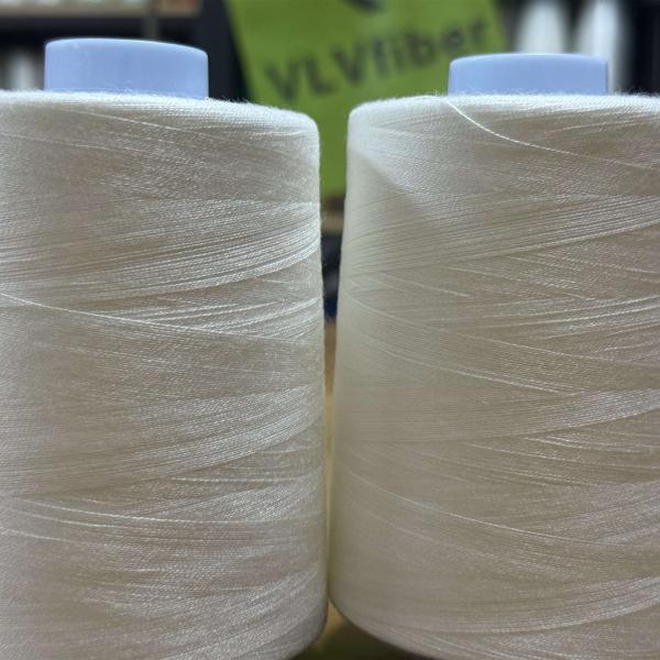 20S/2 40S/2 60S/2 PVA Water Soluble Thread for Embroidery and Fabric Hollowing