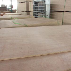 First Class Eculyptus 1250x2500mm Marine Okoume Plywood