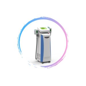 Factory price multifunctional cryolipolysis + two cryo handles + cavitation + RF