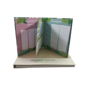 Professional Baby Memory Books Record First Year Envelope Baby Feet Hand Ink