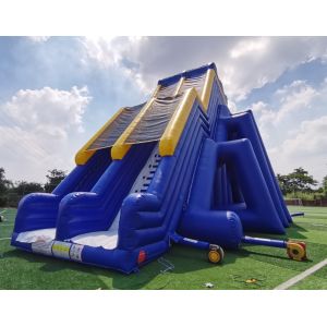 Giant Commercial Inflatable Water Slides Cartoon Theme For Adults