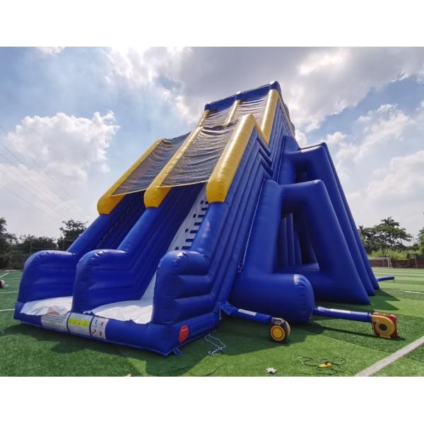 Quality Giant Commercial Inflatable Water Slides Cartoon Theme For Adults wholesale