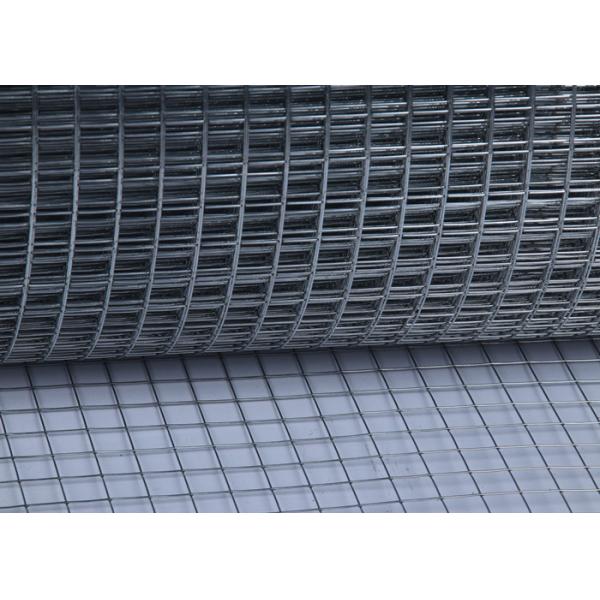 1"x1" Hot Dipped Galvanized Welded Wire Mesh Bird Cage Cheap Electro Fence