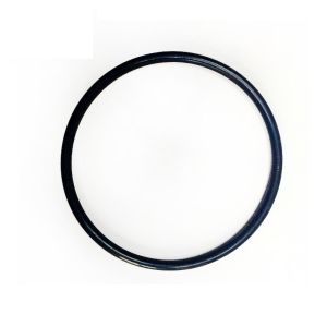 Standard G FKM Rubber Seal For Gasket C/S Depend On Client Demand