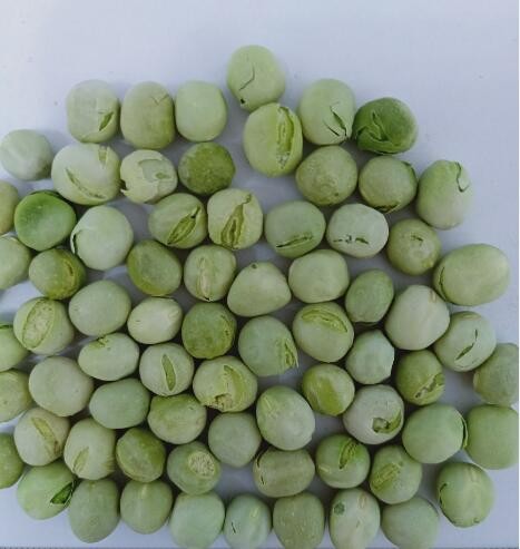 Quality No Sulfites Dried Garden Peas wholesale