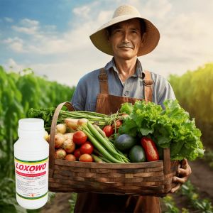 Comprehensive Nutrition High Natural Water Soluble Fertilizer Nitrogen Foliar