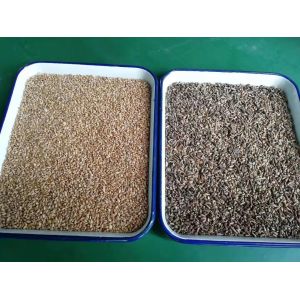 Wenyao 10 Chute High Sorting Speed Color Sorter Multifunction CCD Camera Wheat