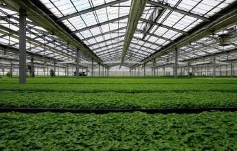 Different Type Steel Skeleton Frame Light Gauge Steel Structures for Farm Sheds