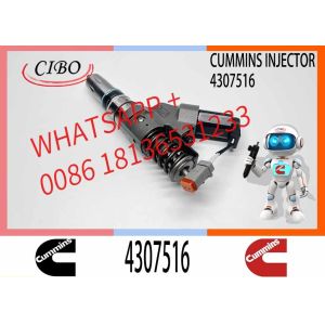 Construction Machinery Part N14 QSM ISM QSM11 ISM11 M11 Diesel Engine Parts