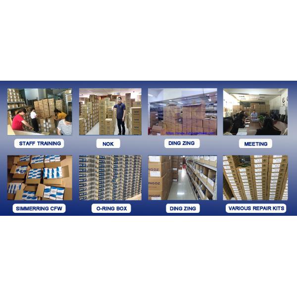 Taiwan Piston PU Polyurethane Hydraulic Cylinder Rod DINGZING DZ UN Double Lip Seals