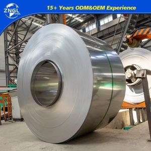 0.4mm 0.5mm 0.6mm 0.8mm Thin 304 Stainless Sheet Stainless Steel Coil for