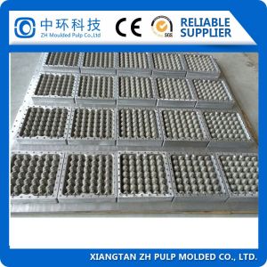 Customize Egg Tray Mould , Food Grade PP Plastic Injection Mould