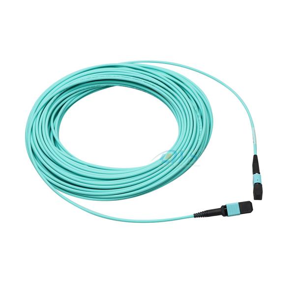 Quality High quality OM3 12 Cores MPO Patch Cord MPO(female)-MPO(female) 3.0mm wholesale