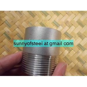 Cheap 316Lmod/1.4435/ 725LN/310MoLN forged socket threaded plug nipple boss union insert for sale