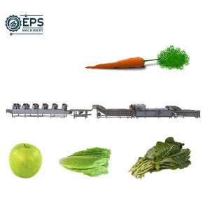 Advanced Fruit and Vegetable Processing Equipment for Cleaning