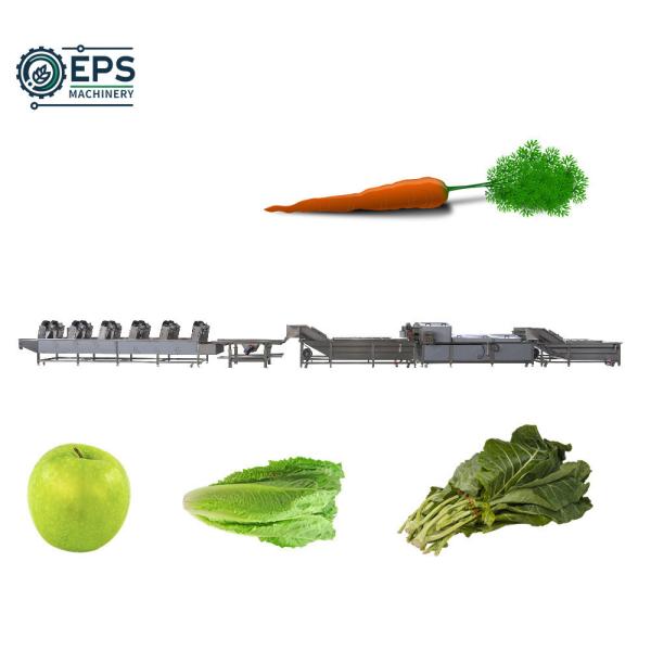 Customize Your Cleaning Process with Automatic Vegetable and Fruit Cleaning