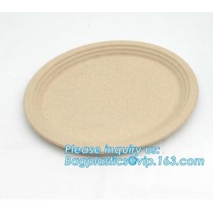 biodegradable tableware 5 compartment sugarcane tray,100% Biodegradable