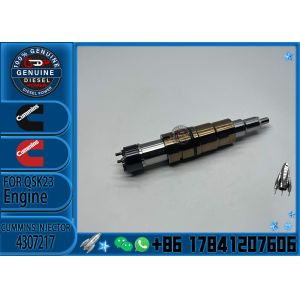 4307217 Common Rail Auto Parts 4307217 Diesel Fuel Injector 4307217 for SCANIA