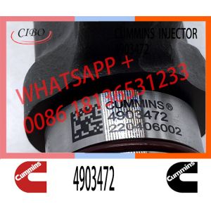 Genuine Fuel Injector QSM QSM11 ISM11 M11 4903472 4088384 4902921